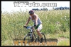P3V11TT0385
