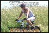 P3V11TT0386