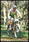 P3V11TT0538
