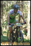 P3V11TT0539