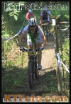P3V11TT1291