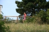 IMG_9486_resize